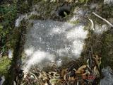 image of grave number 660324